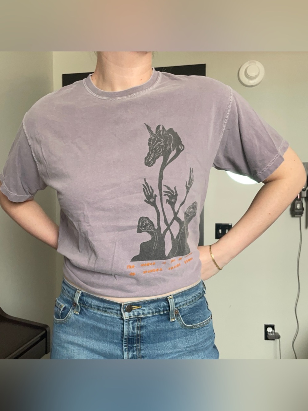 Welcome Skateboards Soft Kill Collab Tee
